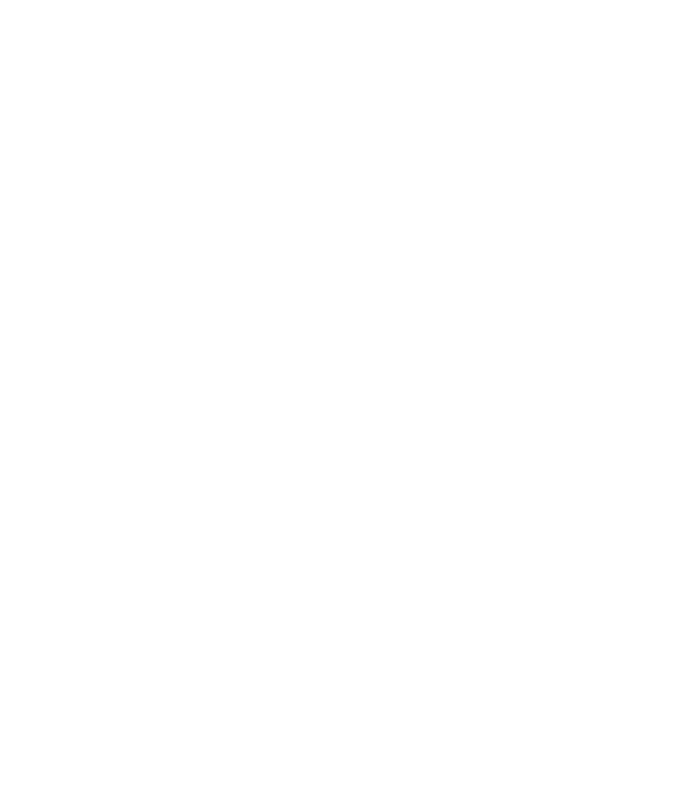 Conozca y empiece a usar Witty, nuestra billetera digital